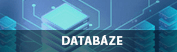 ikona Databáze ČGS