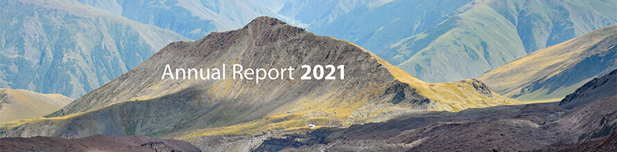 Annual Report 2021